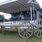 IMGP3213
