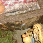 DSC02215