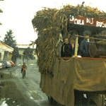 FOTO15