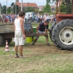 294565_173199132757655_100002027090898_353781_1081244294_n