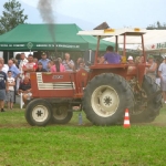 299015_173201329424102_100002027090898_353837_158396444_n
