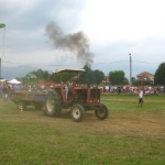 299205_173202406090661_100002027090898_353867_2120206045_n