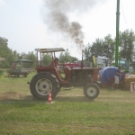 299610_173198609424374_100002027090898_353767_709005292_n