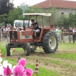 308190_173199039424331_100002027090898_353778_416325769_n