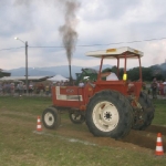 311245_173204192757149_100002027090898_353918_668738590_n