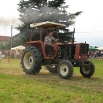 313110_173199812757587_100002027090898_353798_512121334_n