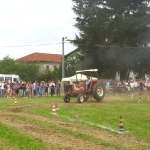 313520_173202589423976_100002027090898_353872_1592495258_n